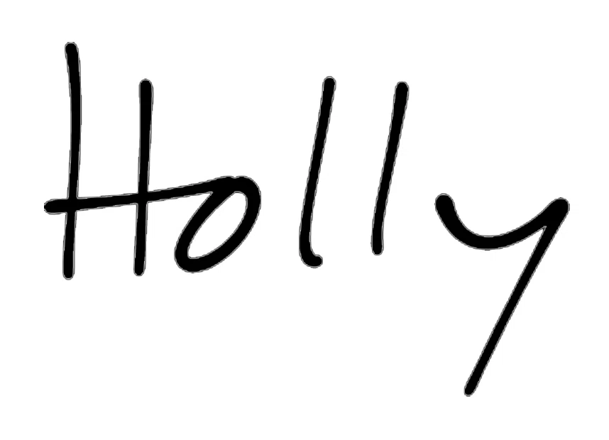 Holly Promo Codes & Coupons