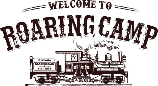 Roaring Camp Promo Codes & Coupons