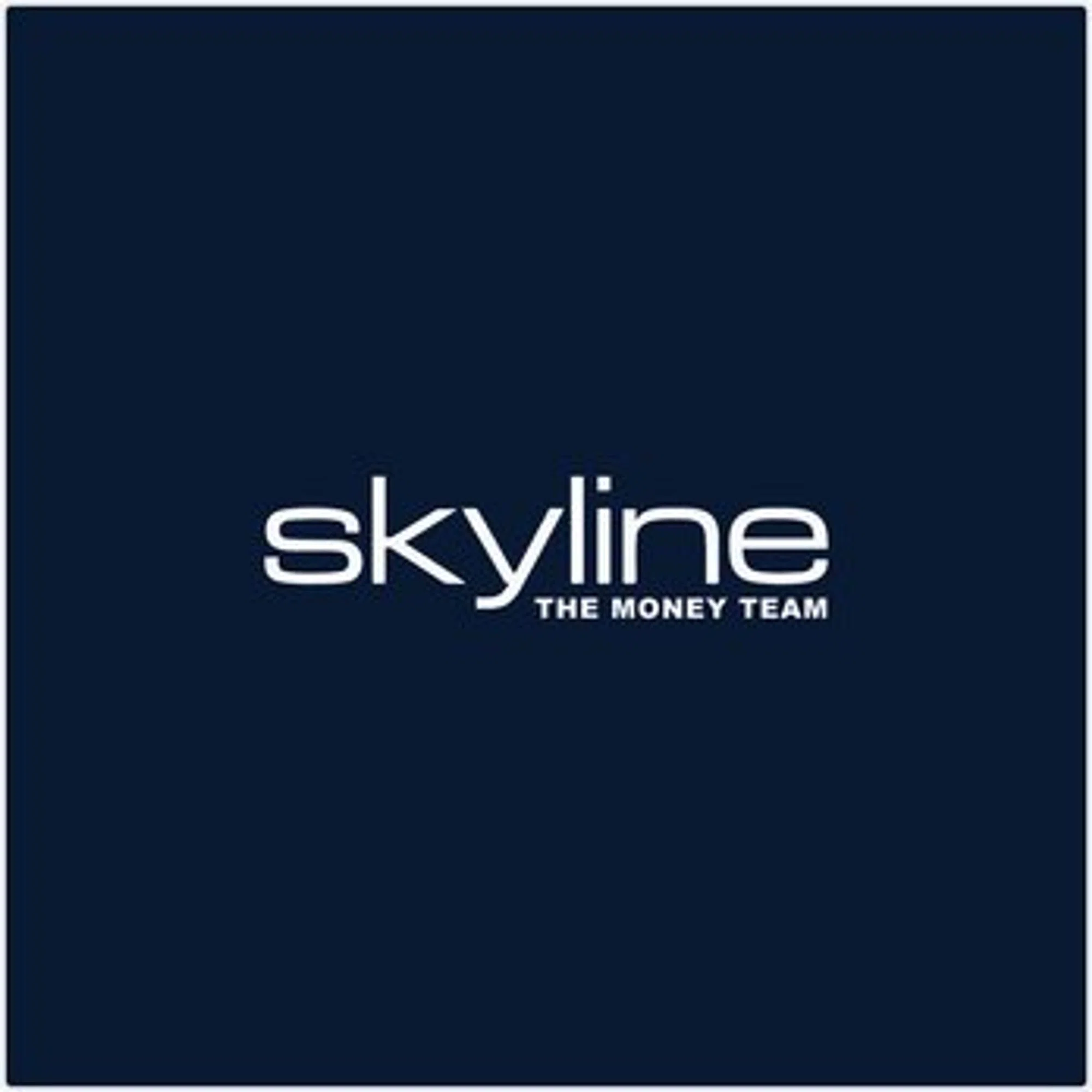 Skyline Security